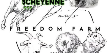 How $CHEYENNE Is Gaining Traction in the Memecoin Market and Drawing Parallels to Freedom Farm