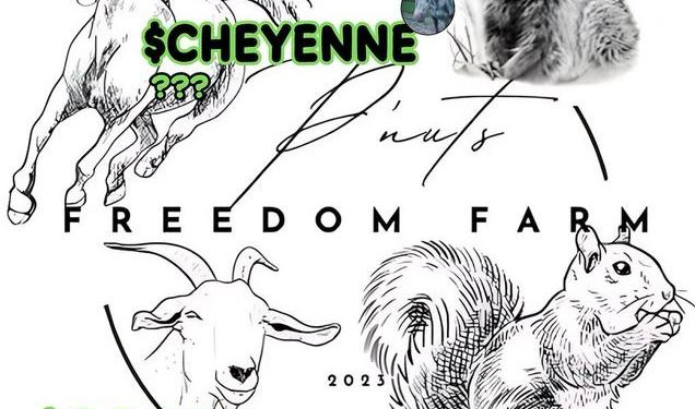 How $CHEYENNE Is Gaining Traction in the Memecoin Market and Drawing Parallels to Freedom Farm