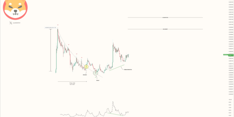 Will Shiba Inu Price Jump Over 300%? This Analyst Thinks So