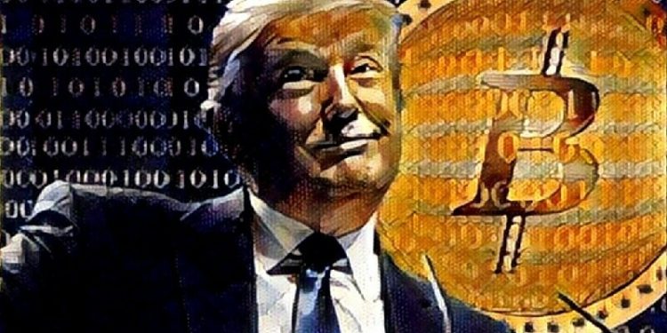 Bitcoin breaks $75k as crypto celebrates Donald Trump election win