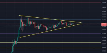 Dogecoin Set To Skyrocket By Saturday, Warns Crypto Analyst
