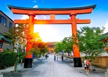 The next Pepe with a potential for 1,000% gains