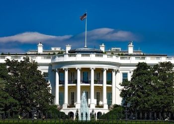 Donald Trump’s transition team considering first-ever White House crypto office