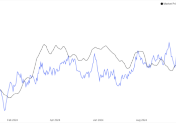 Bitcoin Hashrate Falls Off, Miners Expecting Pause In Bull Run?