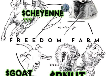 Cheyenne the horse with connections to $PNUT freedom farm – Will Be Listed on Bitmart Exchange