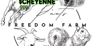 Cheyenne the horse with connections to $PNUT freedom farm – Will Be Listed on Bitmart Exchange
