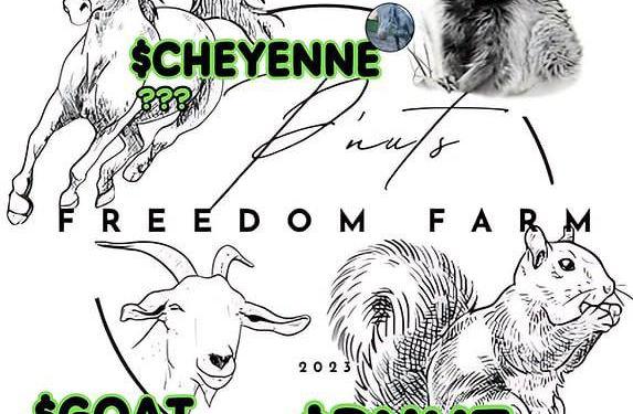 Cheyenne the horse with connections to $PNUT freedom farm – Will Be Listed on Bitmart Exchange