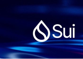 Sui network back online after 2-hour outage