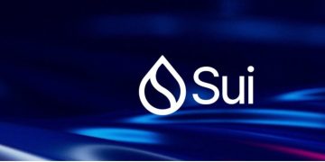 Sui network back online after 2-hour outage