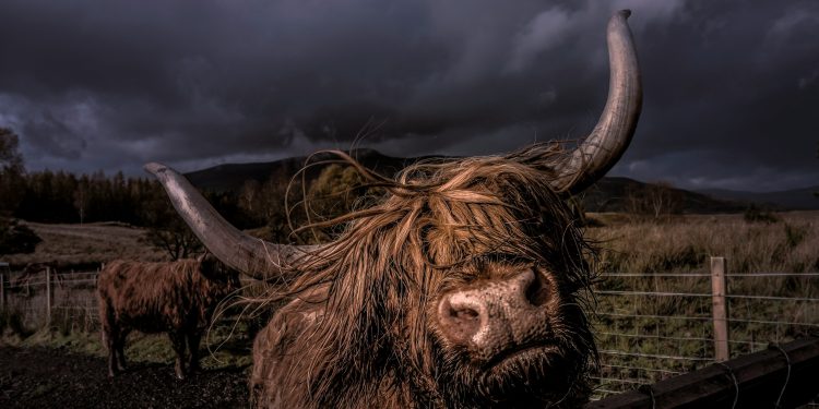 Why High Net-Worth Investors Are Super Bullish on Bitcoin Right Now