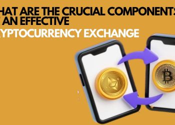 What Are the Crucial Components of an Effective Cryptocurrency Exchanges? | by Sheltonantony | The Capital | Jan, 2025
