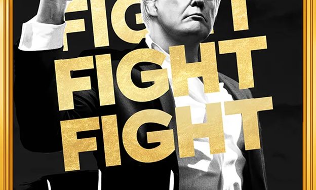 Good and Bad Trump Trades. Day 1 of Trump 2.0 | by Chris DeMuth Jr | The Capital | Jan, 2025