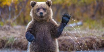 Dogecoin, Ripple Plunge 11% as Bullish Crypto Liquidations Cross $770 Million