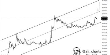 Dogecoin ETFs Will Skyrocket Price To $15, Forecasts Analyst