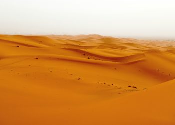 Sandboxes Are a Way Out of the Regulatory Sandstorm