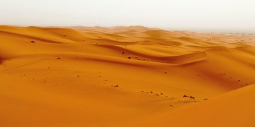 Sandboxes Are a Way Out of the Regulatory Sandstorm