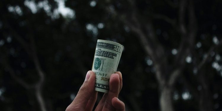 Why Crypto Could Replace Fiat Currency by 2030 | by Raphael Monyei | The Capital | Feb, 2025