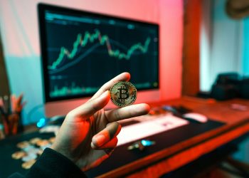 The Pros and Cons of Investing in Cryptocurrencies in 2025 | by Andrew Stone | The Capital | Feb, 2025