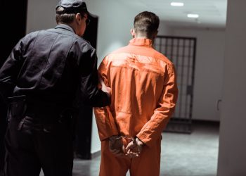 Jailed BTC-e operator Vinnik released in US-Russia prisoner swap