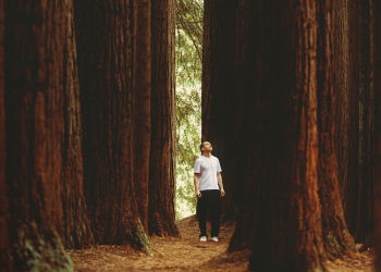 Why Large-Cap Digital Assets Are Outperforming