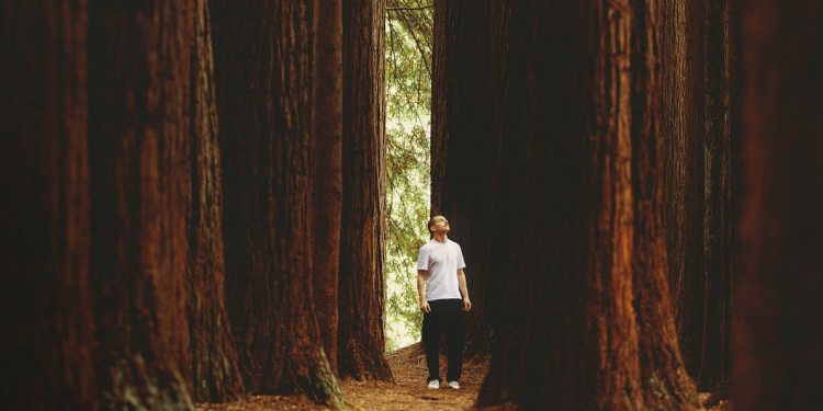 Why Large-Cap Digital Assets Are Outperforming