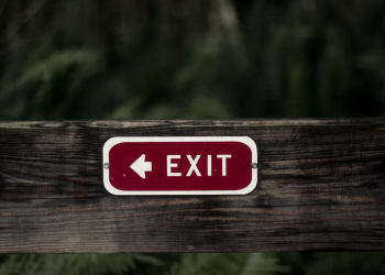 Memecoin Craze Is ‘Unquestionably Over’ as Crypto Heads Towards Maturation, Nic Carter Says