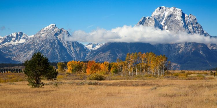 Wyoming’s Future as a Blockchain Leader Hangs in the Balance Without Fair Procurement Processes