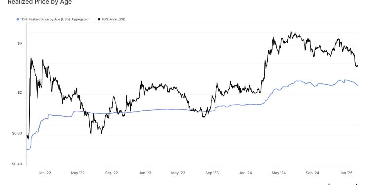 Toncoin (TON) Investors Sitting On 54% Profit Despite Price Plunge