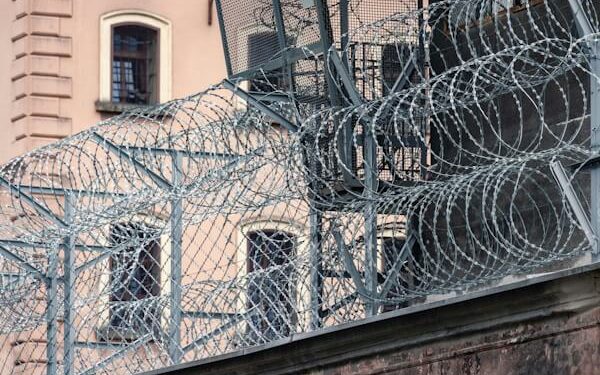 Dutch Court suspends the pretrial detention of Tornado Cash dev Alexey Pertsev