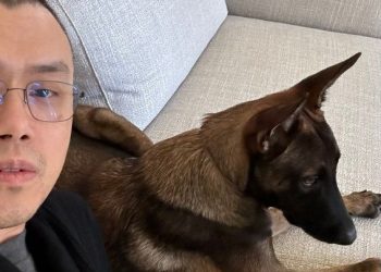 CZ’s Dog Made a Killing for One Memecoin Creator and Murdered Everyone Else