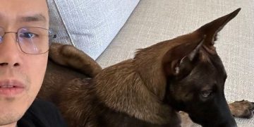 CZ’s Dog Made a Killing for One Memecoin Creator and Murdered Everyone Else