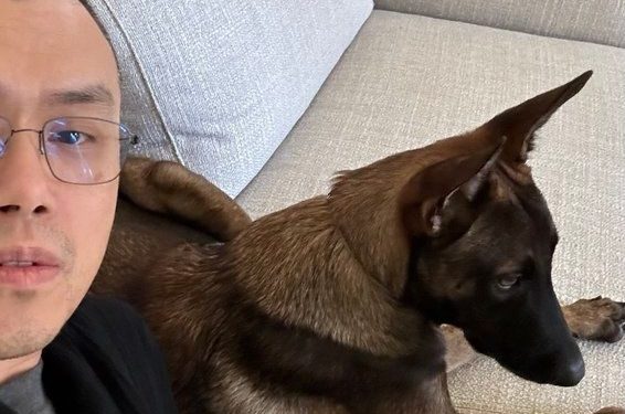 CZ’s Dog Made a Killing for One Memecoin Creator and Murdered Everyone Else