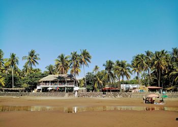 The Origins of the Bitcoin Experiment