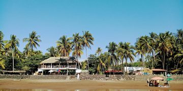 The Origins of the Bitcoin Experiment