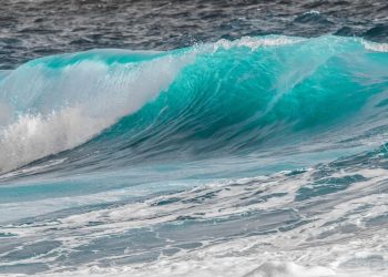 Billions in BTC, ETH, XRP Flowed to Exchanges After Trump’s Reserve Plans