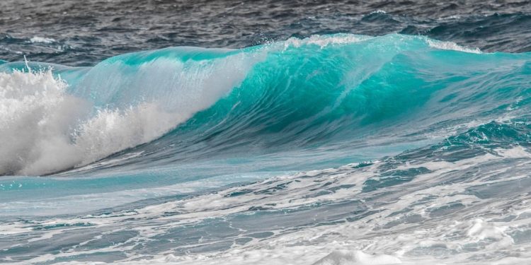 Billions in BTC, ETH, XRP Flowed to Exchanges After Trump’s Reserve Plans