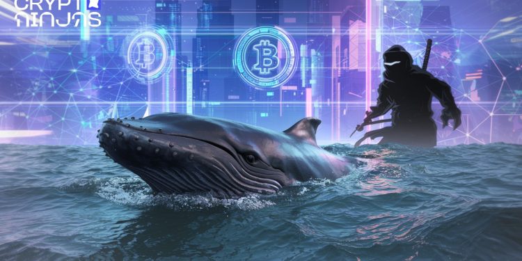 Bitcoin Whale Awakens After 8 Years, Moves $250 Million in BTC