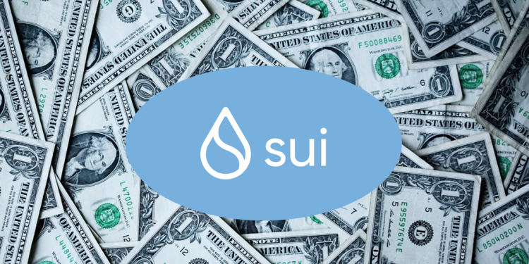 SUI Bearish Shift? Weekly RSI Drops Below 50%, Raising Alarm