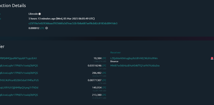 Litecoin Whale Deposits 500,000 LTC To Binance: Price Decline To Extend?