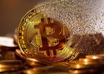 Will Crypto ETFs Outshine Wallets? Cathie Wood Shares Insight