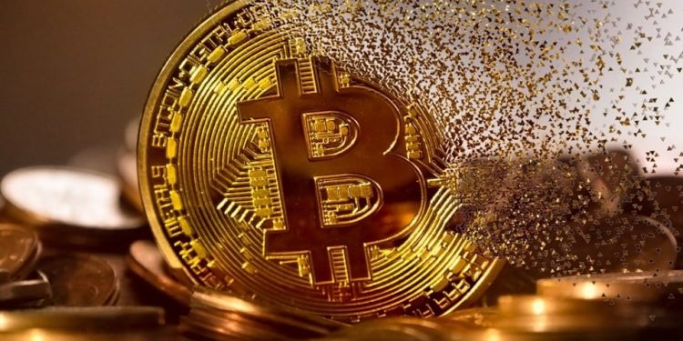 Will Crypto ETFs Outshine Wallets? Cathie Wood Shares Insight