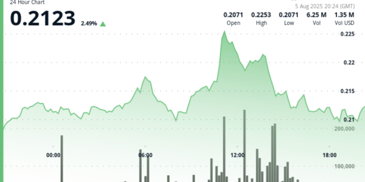 Polygon Holds 3% Advance, Outperforming Broader Market