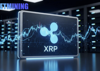 Exploring the Potential of XRP Cloud Mining: LET Mining Introduces New Service