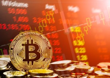 What sparked the sudden crypto market surge?