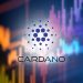 Cardano price boost as Midnight’s NIGHT token airdrop goes live