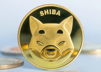 Shiba Inu price forecast: bulls eye breakout after deep accumulation