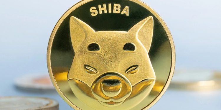 Shiba Inu price forecast: bulls eye breakout after deep accumulation