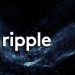 Top U.S. Digital Assets Official Patrick Witt Joins Ripple Swell