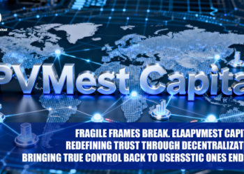 PVMest Capital: Redefining Trust Through Decentralization, Bringing True Control Back to Users