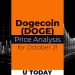 DOGE Price Analysis for October 21